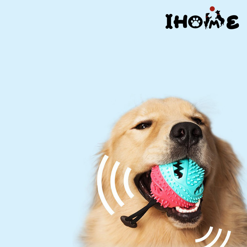Dog Feeder Ball Chew Dog Toy Treat Food Dispenser Featured Image
