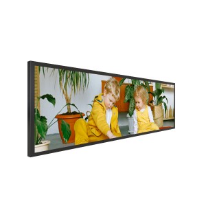 LYNDIAN 24 inch Stretched LCD Display
