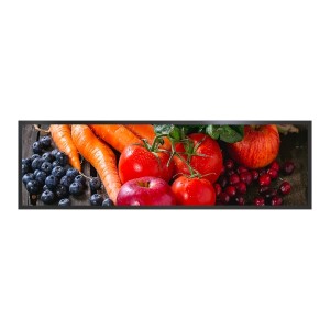 LYNDIAN 49.5 inch Stretched LCD Display