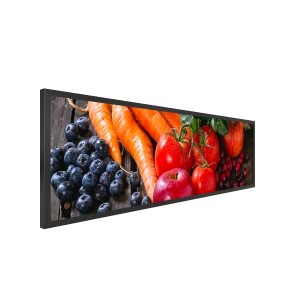 LYNDIAN 19.5 inch Stretched LCD Display