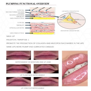 wholesale lipgloss custom logo pigment lip gloss labels organic lip gloss base cosmetic