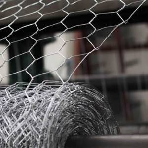 Agricultural Heavy Duty Chicken Wire Packed By Pallet