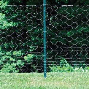 Anti Rust Weaving 18 Gauge Hexagonal Wire Netting Fencing 1 1/4" For Poultry