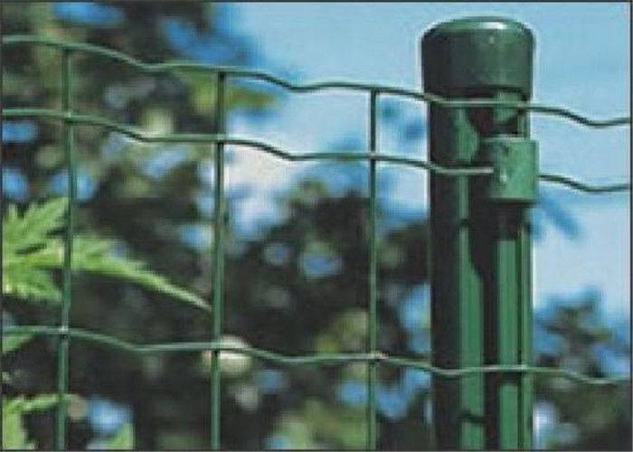 High Strength Garden PVC Coated Welded Wire Mesh For For Animal Fencing