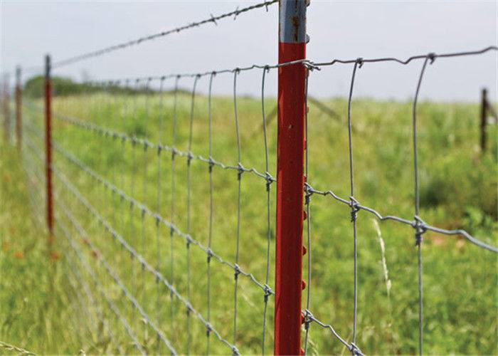 Galvanized Iron Field Wire Fence , Electric Welded Wire Fabric For Livestocks