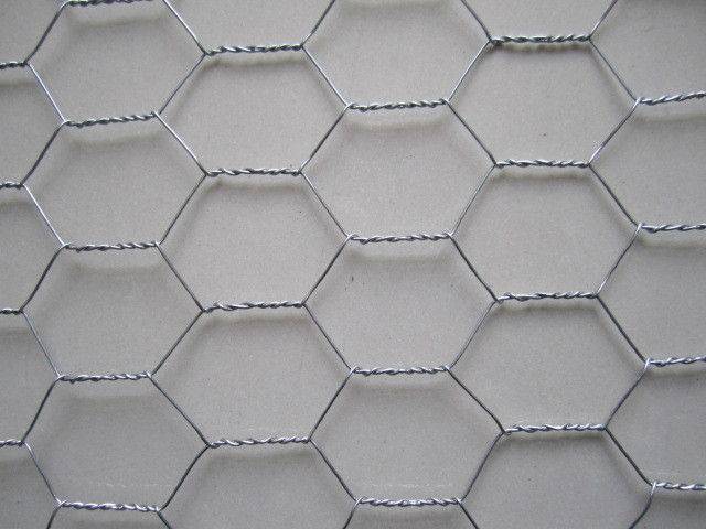 Profeessional 1 Inch Galvanized Hexagonal Wire Mesh Netting For Rabbit Cage