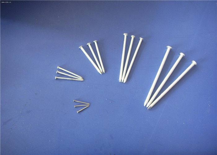 Hot Dipped Galvanized Oval Head Stainless Steel Twist Shank Nails 13 Gauge