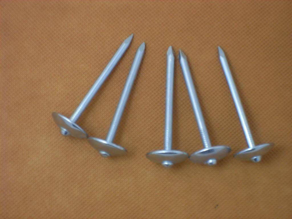 12 Gauge Roofing Iron Wire Nails / Common Galvanized Ring Shank Nails