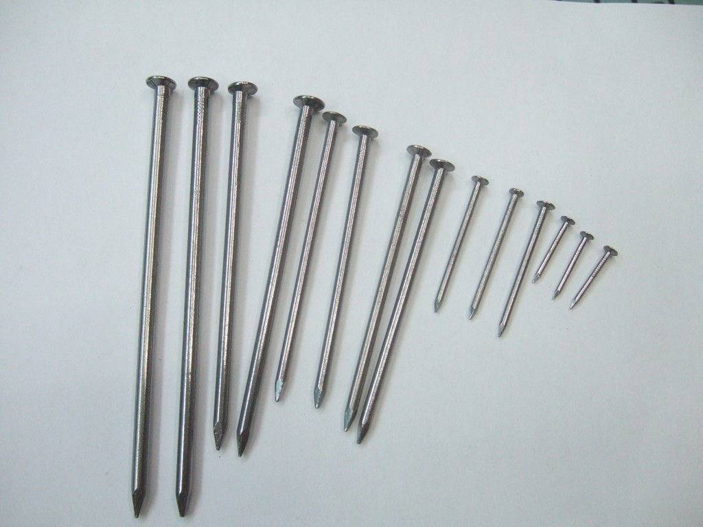 Ring Shank Iron Wire Nails , Common Wire Galvanized Steel Concrete Nails