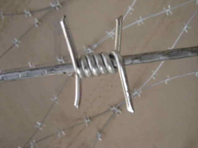 Barbed Wire Fence Single Line Wire Galvanized for Farm Ground