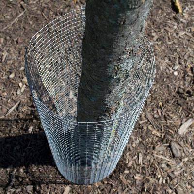 Hardware Cloth Hot Dip Galvanized After Weld Wire Mesh Anti – Corrosion For Bird