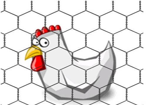 Chicken Coops Chicken Wire Netting 50mm For Pens And Enclousers