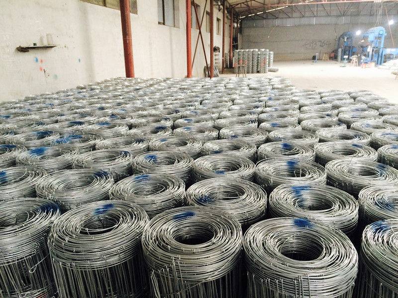 Hot Dipped Galvanized Field Wire Fence , 1.6 Mm – 3.5 Mm Cattle Wire Fence For Horse