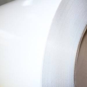 Rubber Coated Metal – SNX6440-J2