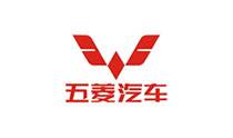 Liuzhou Wuling Liji Power Co., Ltd.