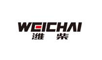 Weicai Power Co., Ltd