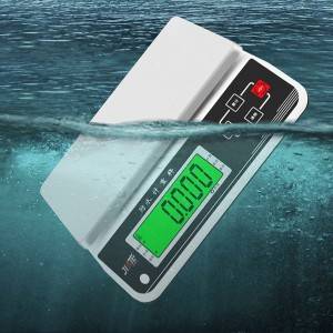 High-precision waterproof Weighing Scale  JT-940
