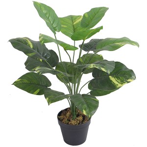 Pequeñas plantas de taro artificial bonsai Venta caliente