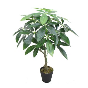 New design different size home decoration durable natural artificial fortune plants