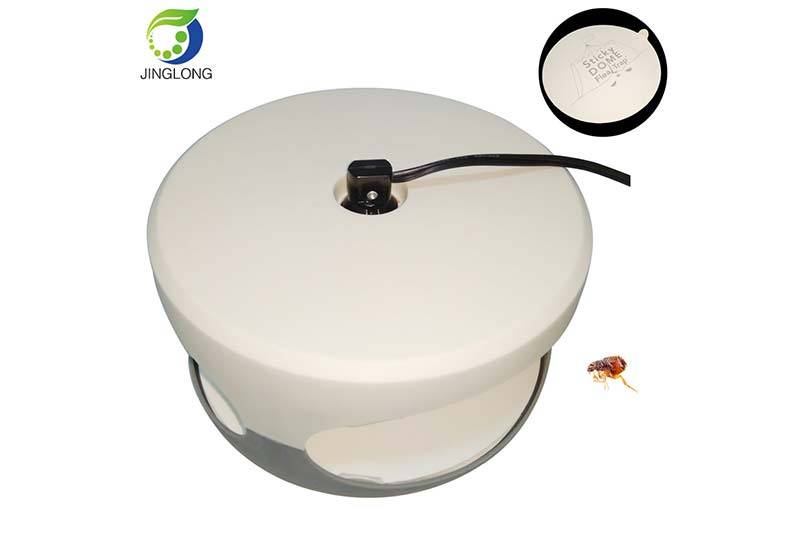 Natural and Pet-Friendly Dome Flea Trap Light with Two Glue Discs Featured Image