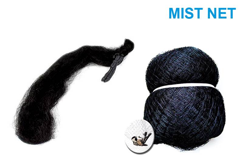 Mist Net Featured Image
