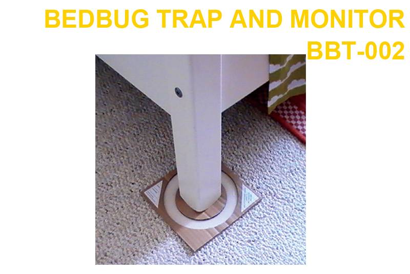 Bedbug Trap and Monitor BBT-002