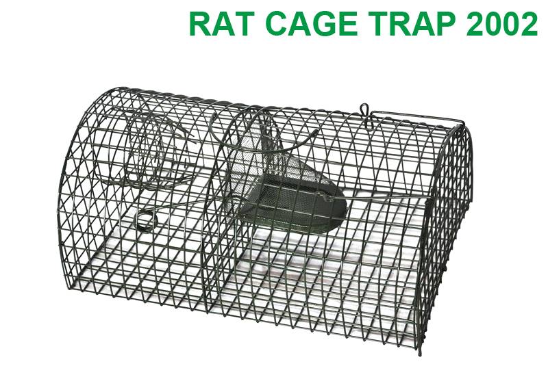 Rat Trap Cage 2002 Featured Image