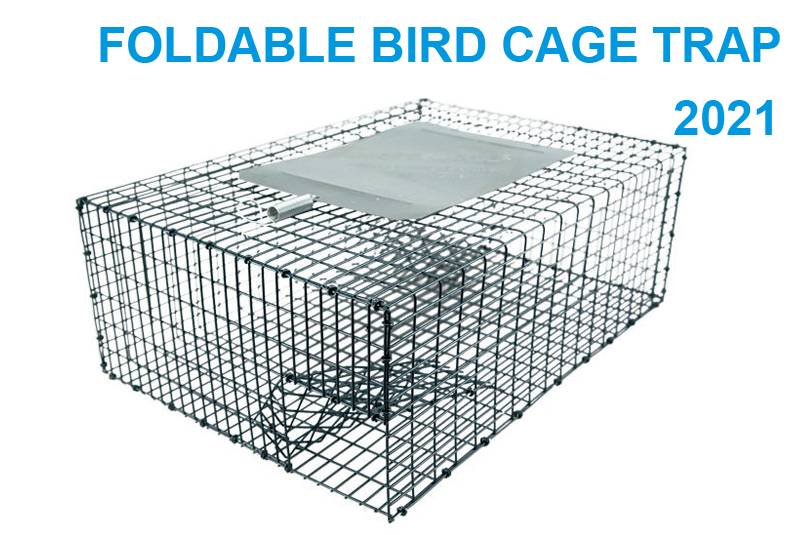 Foldable bird cage trap 2021