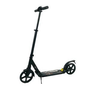 Adult Scooter JBHZ 54