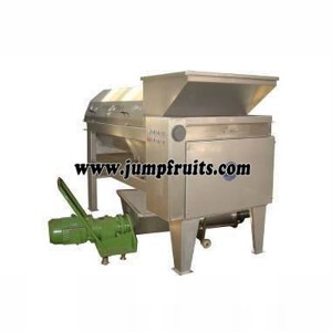 Olive, plum, bayberry, peach, apricot, plum processing machine and production line
