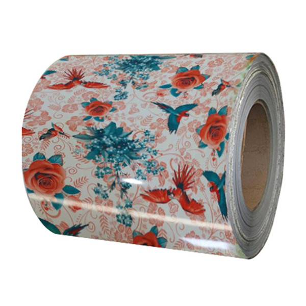 Hot sale flower colour coated steel coil printing steel sheet in coils