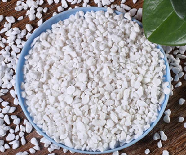 Expanded Perlite in Horticulture Featured Image
