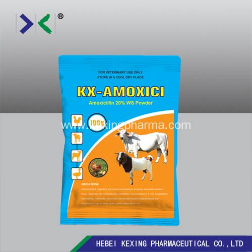 Animal Amoxicillin Water Solution Powder