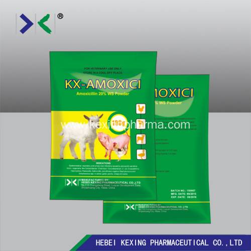 Amoxicillin Water Soluble Powder
