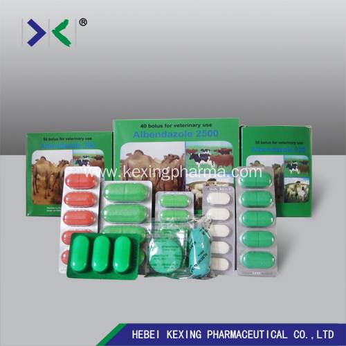 Albendazole Bolus Cattle and Sheep Deworming