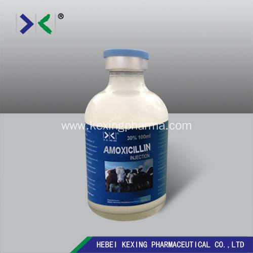 Animal Amoxicillin Injection Dosage