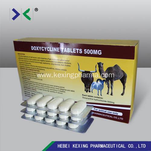 Doxycycline Bolus Cattle and dogs