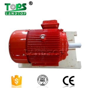 1HP-340HP Y Three-Phase Cast Iron Housing Electric Motor