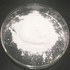 zinc ion antibacterial agent