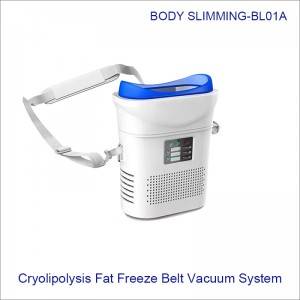 Home Use Body Shaping Cryotherapy Fat Freezing Weight Loss BL01A