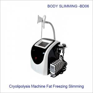 Fat Freezing Slimming Rf Cavitation Cryolipolysis With 3 Handles BD06
