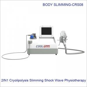 2 Handle Shock Wave Cryolipolysis Firming Tissue 2 in 1 Cool Fat Freezing CRS08