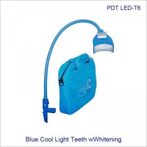 Blue Cool Light LED Lamp Dental Teeth Whitening Machine T6
