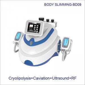 RF Cryolipolysis Slimming dual frequency cavitation cryolipolysis vacuum BD09