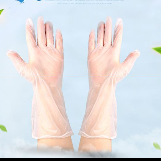 Disposable PVC Gloves Featured Image