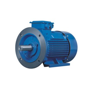 IE2 series high efficiency three-phase asynchronous motor