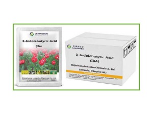 3-Indolebutyric Acid (IBA)