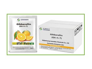 Gibberellin (GA 4+7)