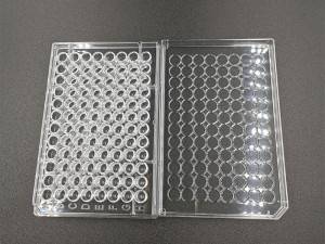 Cell and Tissue Culture Plates
