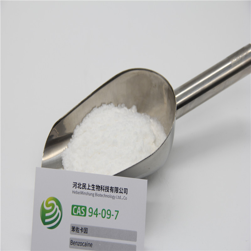 Benzocaine Powder CAS 94-09-7 with Best Price